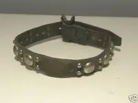 Old Dog Collar #2.webp