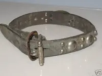 Old Dog Collar #1.webp