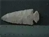 avatar_13906.webp