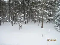 Sideyardview from Window.webp