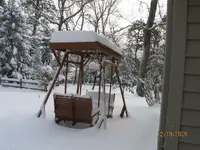 swing2.webp