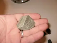 flint4.webp