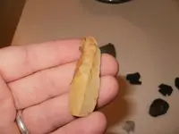 flint7.webp