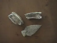 arrowheads (10).webp