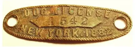 Dog Tag.webp