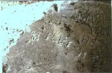 elipe reverse.webp
