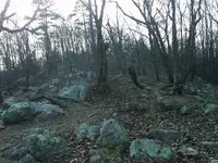 rockhill.webp
