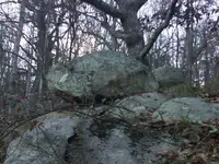 rockturtle.webp