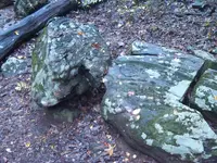 rocklouisiana.webp