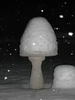 DSCF0003.webp