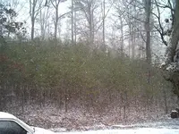 snofeb14#2.webp