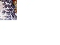 rockmannegative.webp