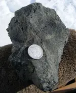 DSCF5236.webp