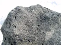 DSCF5238.webp