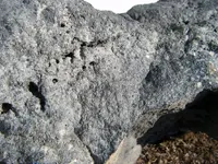 DSCF5239.webp