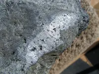 DSCF5241.webp