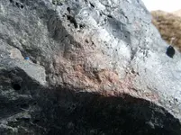 DSCF5245.webp