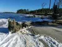 000_0001.webp
