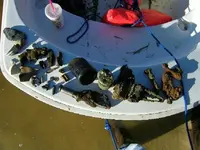 000_0003.webp