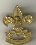 scoutpin.webp