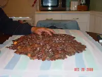 Some of the coins I found.webp