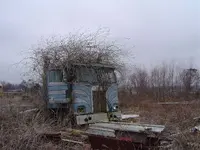 Bad hair day & catfish 001.webp