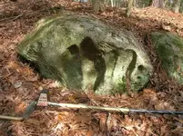 Dinosaur footprint.webp