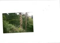scan0003.webp