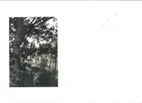 scan0004.webp