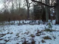 100_1032.webp