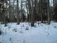 100_1034.webp