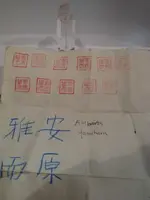 DSC00449.webp