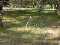 DSC00018.webp