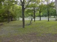 DSC00018.webp