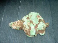 Monster nugget 003.webp