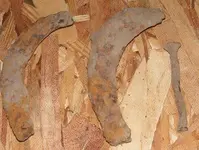 shoes.webp