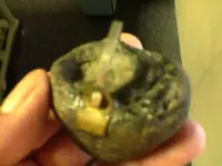 grinder 001.webp