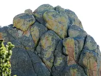 turtle head (Large).webp