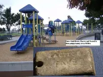 Gold Playground and fake brick.webp