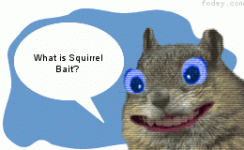 squrrel.gif