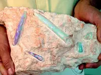 opalised-squid.webp