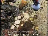 Azores Project 4 47.webp