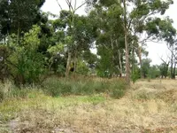 yankee creek2.webp