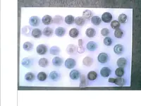 bottles gee they exist002.webp