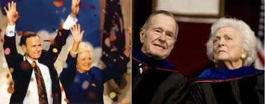 The Senior Bushes.webp