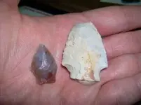 Last finds of 09.webp