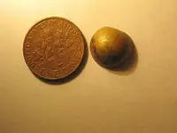 button 002.webp