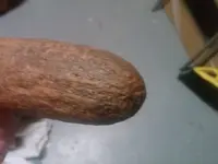 End rock.webp