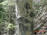 DSC00042.webp