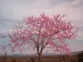 avatar_21792.webp